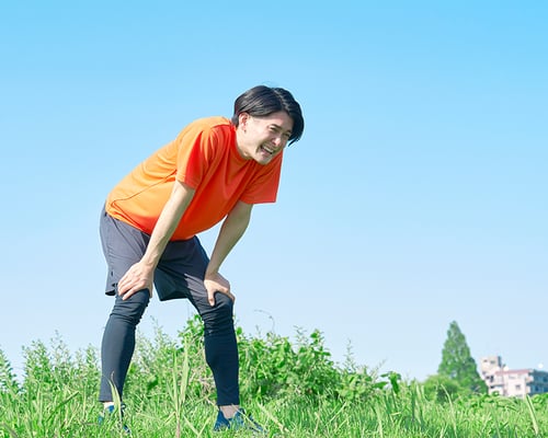 AdobeStock_507778454_2 AdobeStock_507778454_2