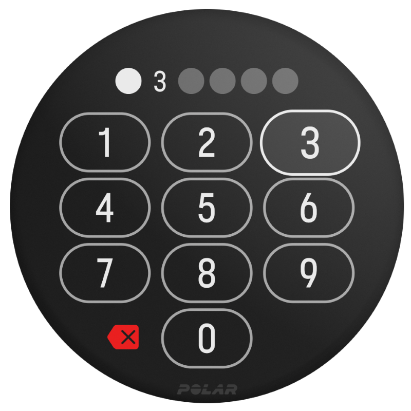 polar_gritx2_watch face_PIN polar_gritx2_watch face_PIN